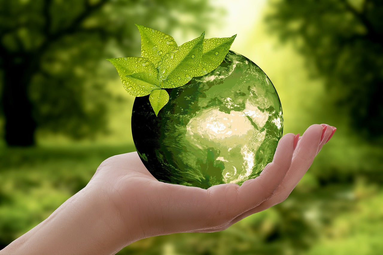 Green earth atop a lady's hand with green leaf